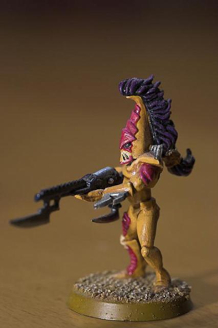 Krieger4