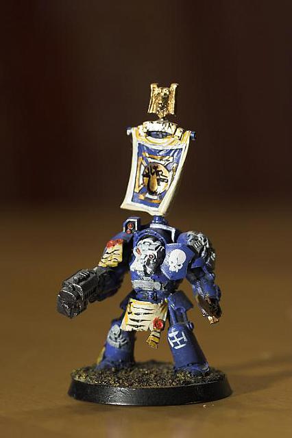 TerminatorSeargeant