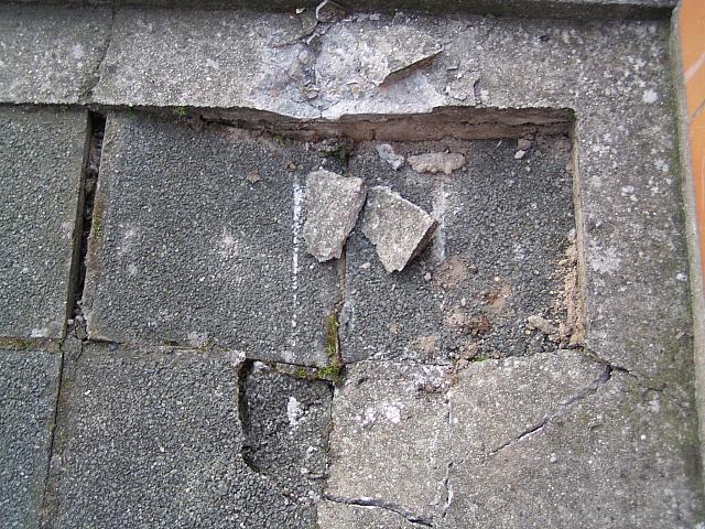 P3150018
