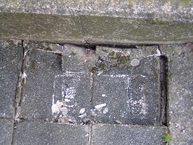 P3150019