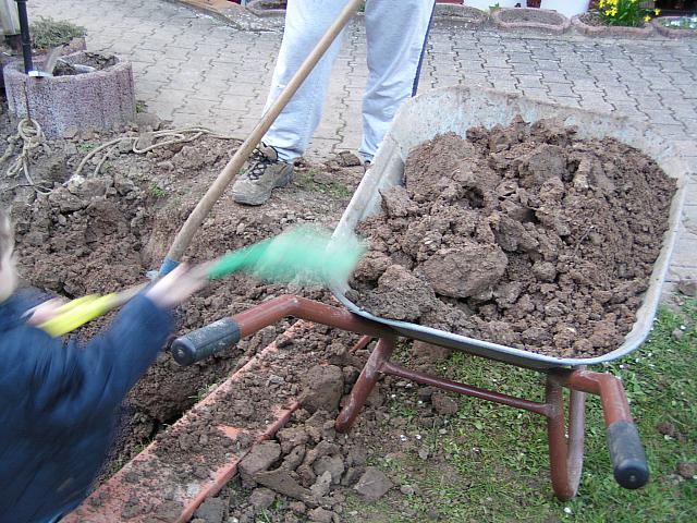 P3150024
