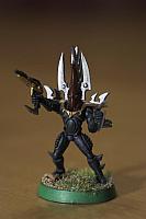 Krieger1