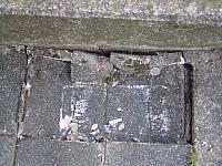 P3150019
